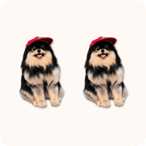Yeontan Plush 2PCS