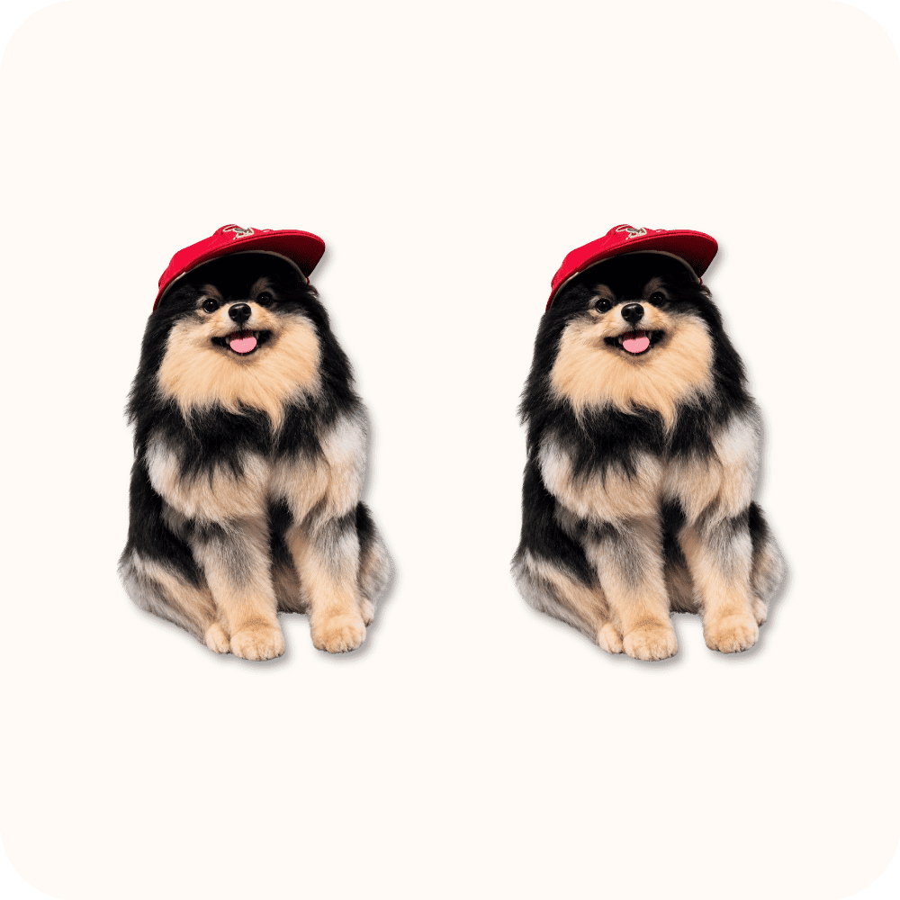 Yeontan Plush 2PCS Yeontan Plush 2PCS