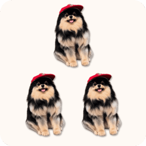 Yeontan Plush 3PCS