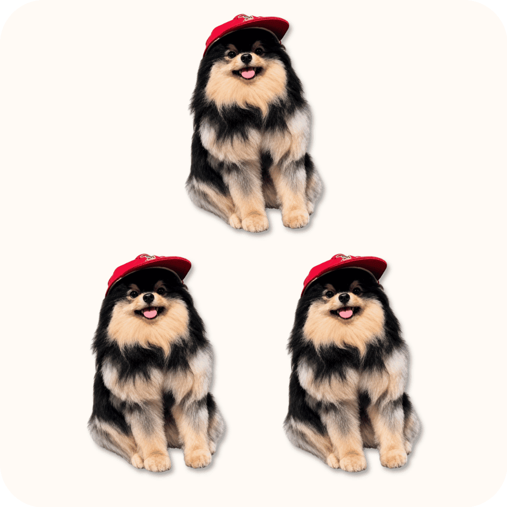 Yeontan Plush 3PCS Yeontan Plush 3PCS