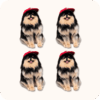 Yeontan Plush 4PCS