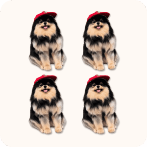 Yeontan Plush 4PCS