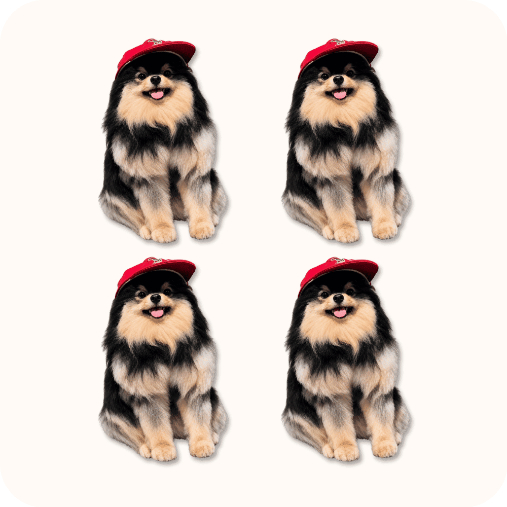 Yeontan Plush 4PCS Yeontan Plush 4PCS