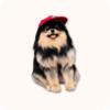 Yeontan Plush
